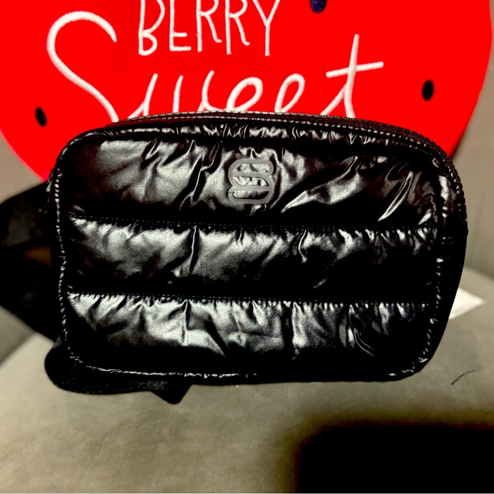 Stylish Black Quilted Women's Bag Aritzia